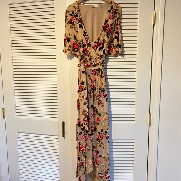 Alice and Olivia velvet floral burnout dress in size 2 - Picture 3 of 7